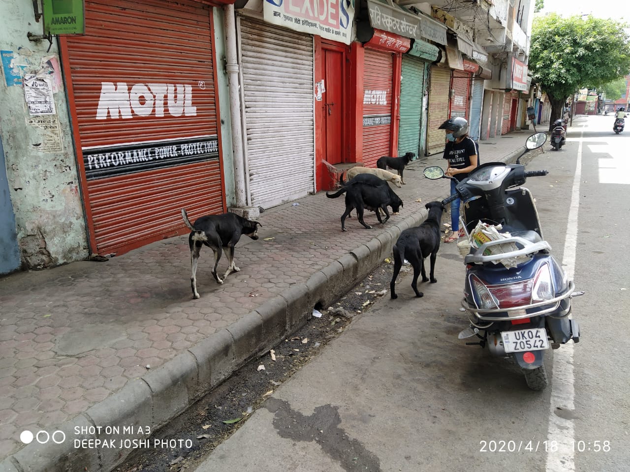 Scooter Run for Stray Dogs