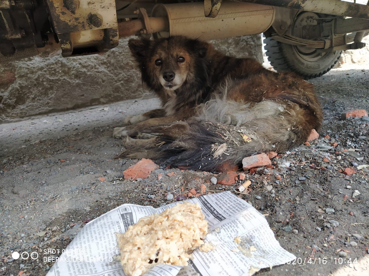 Meal Beneath a Truck