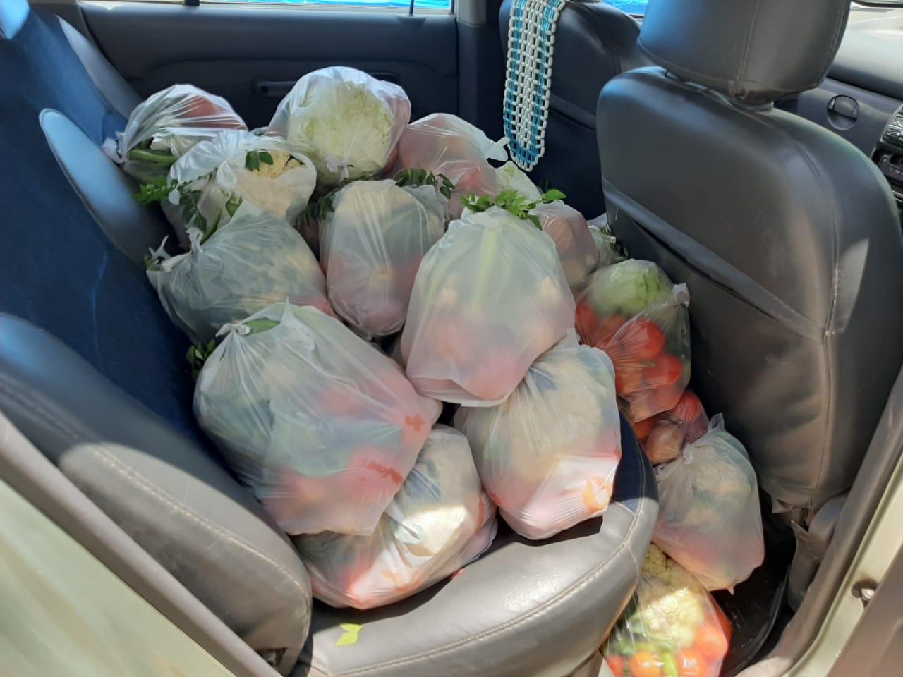 Car Seat Full of Vegetable Kits
